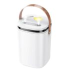 Hoco HX35 Dual Spray Portable Humidifier